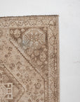 RESERVED | SW | 3'10 x 5'0 | Small Neutral Shiraz Rug | CE-W-3474