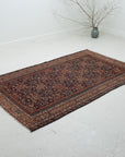 3'11 x 6'7 | Beautiful Medium Malayer | CE-W-2464