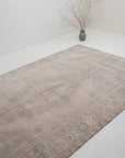 5'11 x 10'7 | Large Light Vintage Rug | C-3157