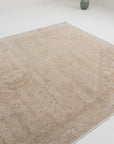 4'11 x 7'6 | Neutral Shiraz | W-2751