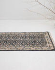 2'5 x 8'0 | Skinny Frances Runner | R-3264