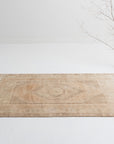 3'1 x 5'5 | Light Anatolian | W-2737