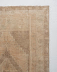 3'1 x 5'5 | Light Anatolian | W-2737