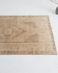 3'1 x 5'5 | Light Anatolian | W-2737