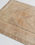 3'1 x 5'5 | Light Anatolian | W-2737