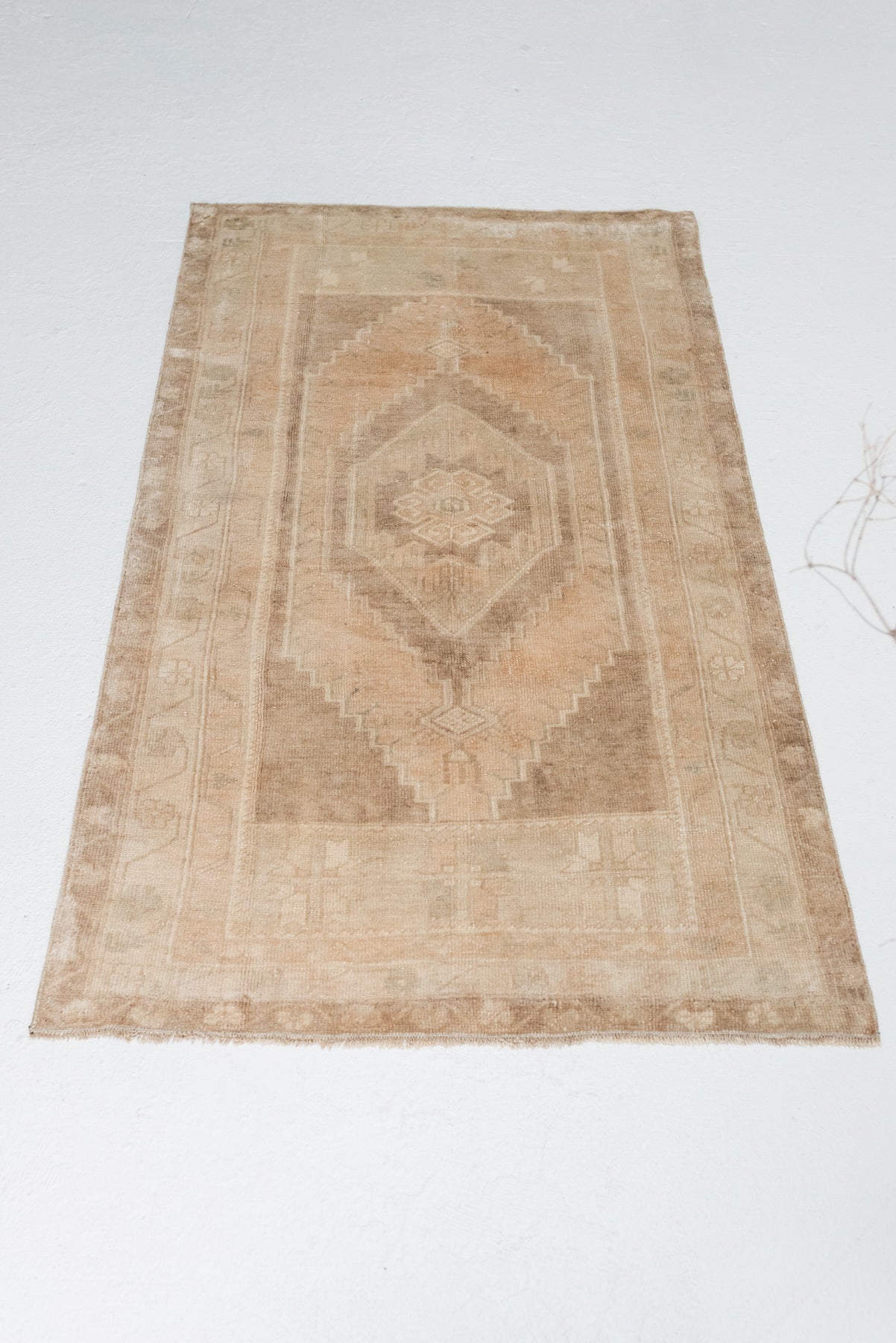 3'1 x 5'5 | Light Anatolian | W-2737