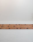 2'8 x 10'3 | R-3494