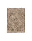 RESERVED | SW | 3'10 x 5'0 | Small Neutral Shiraz Rug | CE-W-3474