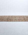 3'0 x 10'0 | 1920s Antique Runner | R-2295