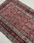 3'1 x 10'2 | Persian Runner | CE-R-2453