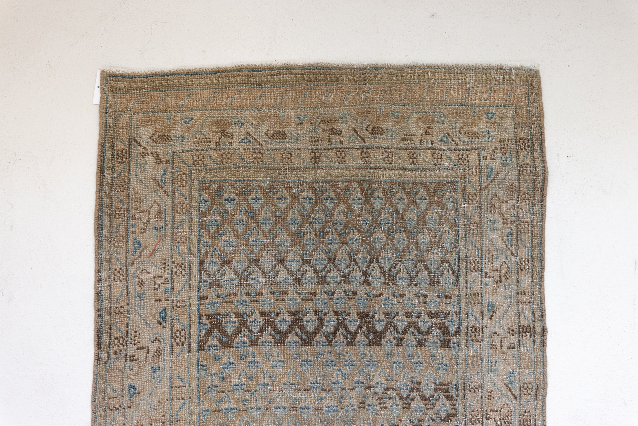 2'8 x 13'9 | CS-R-3801