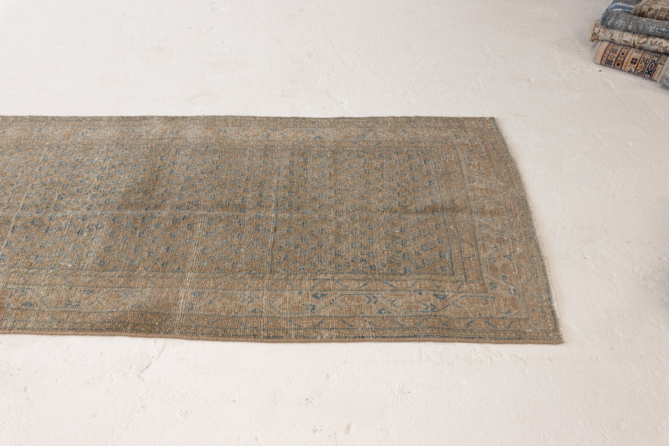 2'8 x 13'9 | CS-R-3801