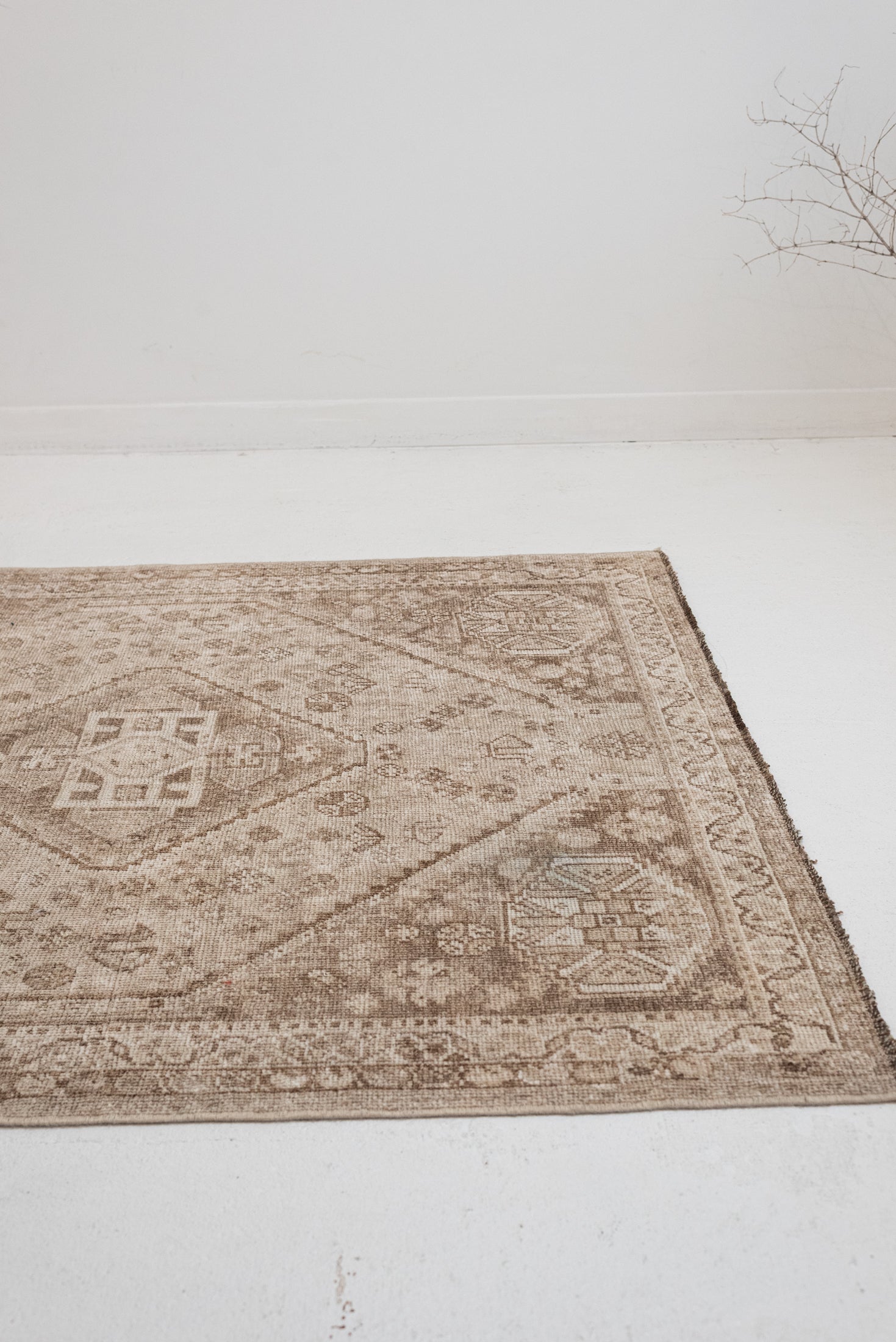 RESERVED | SW | 3&#39;10 x 5&#39;0 | Small Neutral Shiraz Rug | CE-W-3474