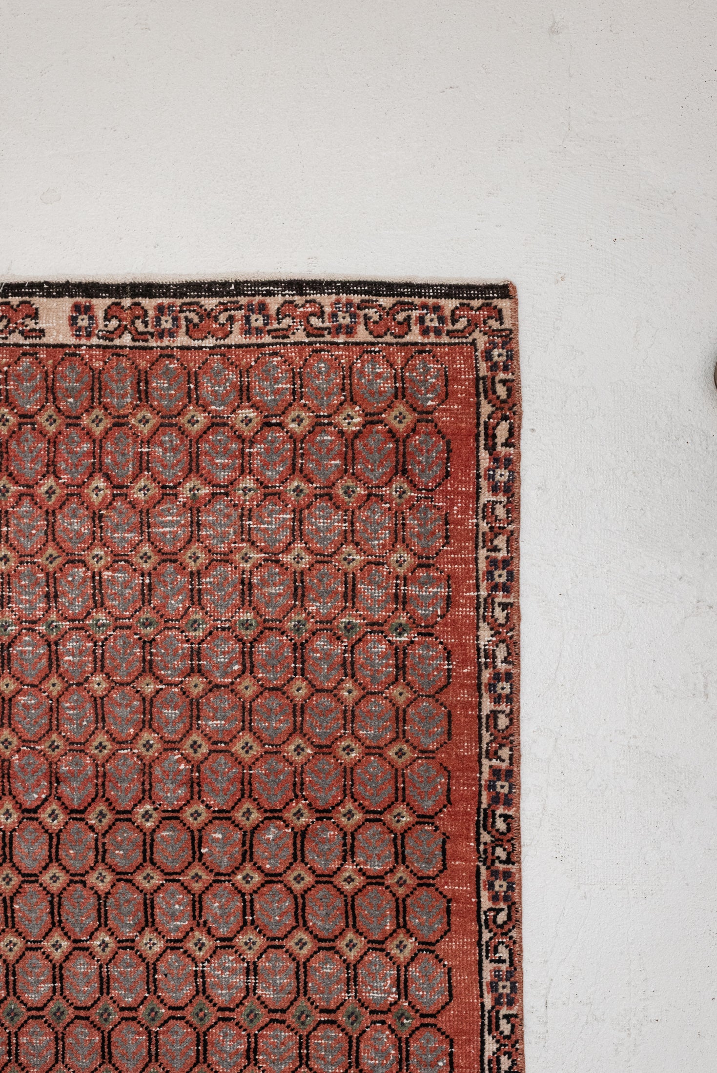 3&#39;0 x 5&#39;5 | CE-W-3462