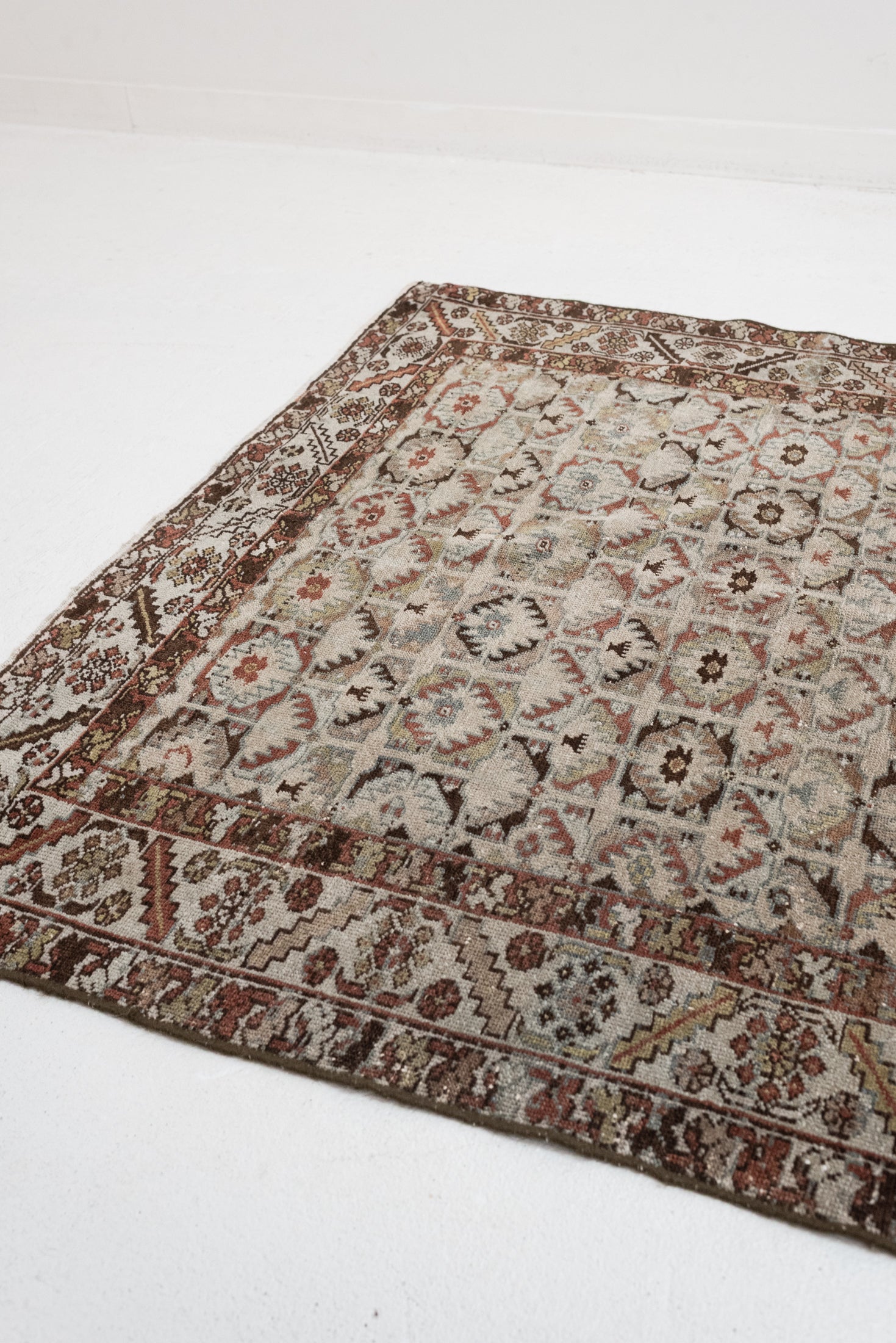 4'3 x 6'3 | CE-W-3440