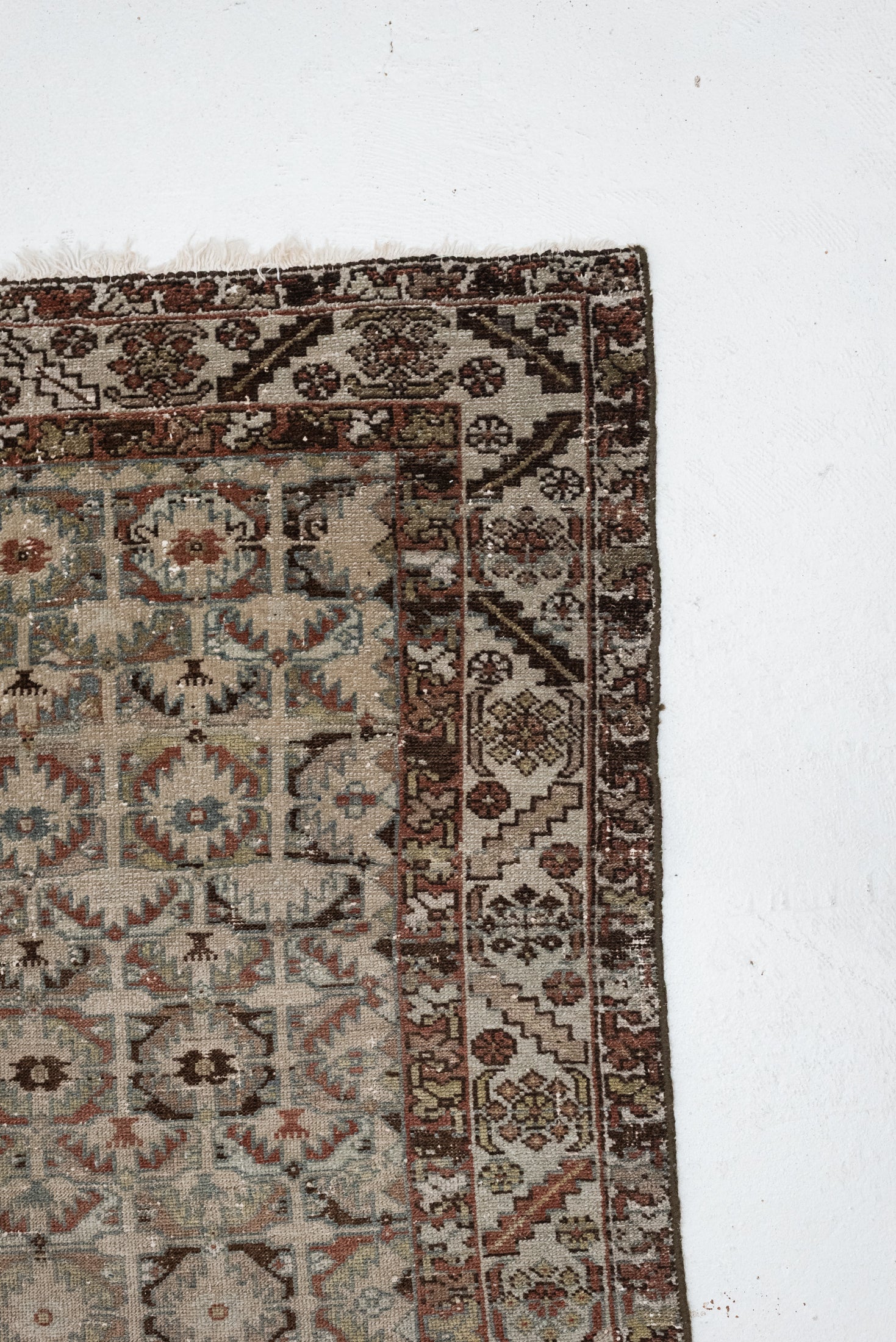 4'3 x 6'3 | CE-W-3440