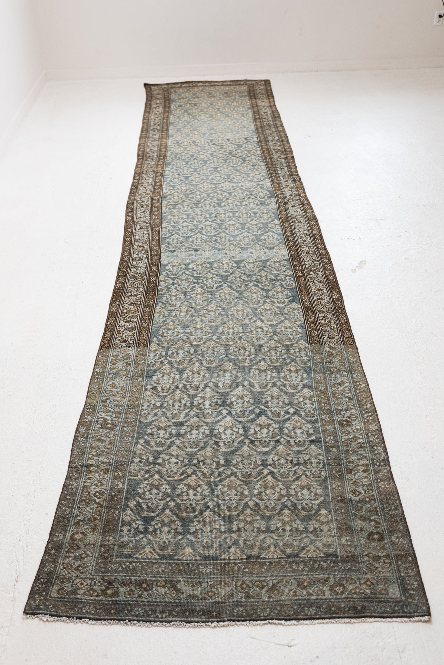 3'5 x 16'5 | CS-R-4731