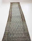 3'5 x 16'5 | CS-R-4731