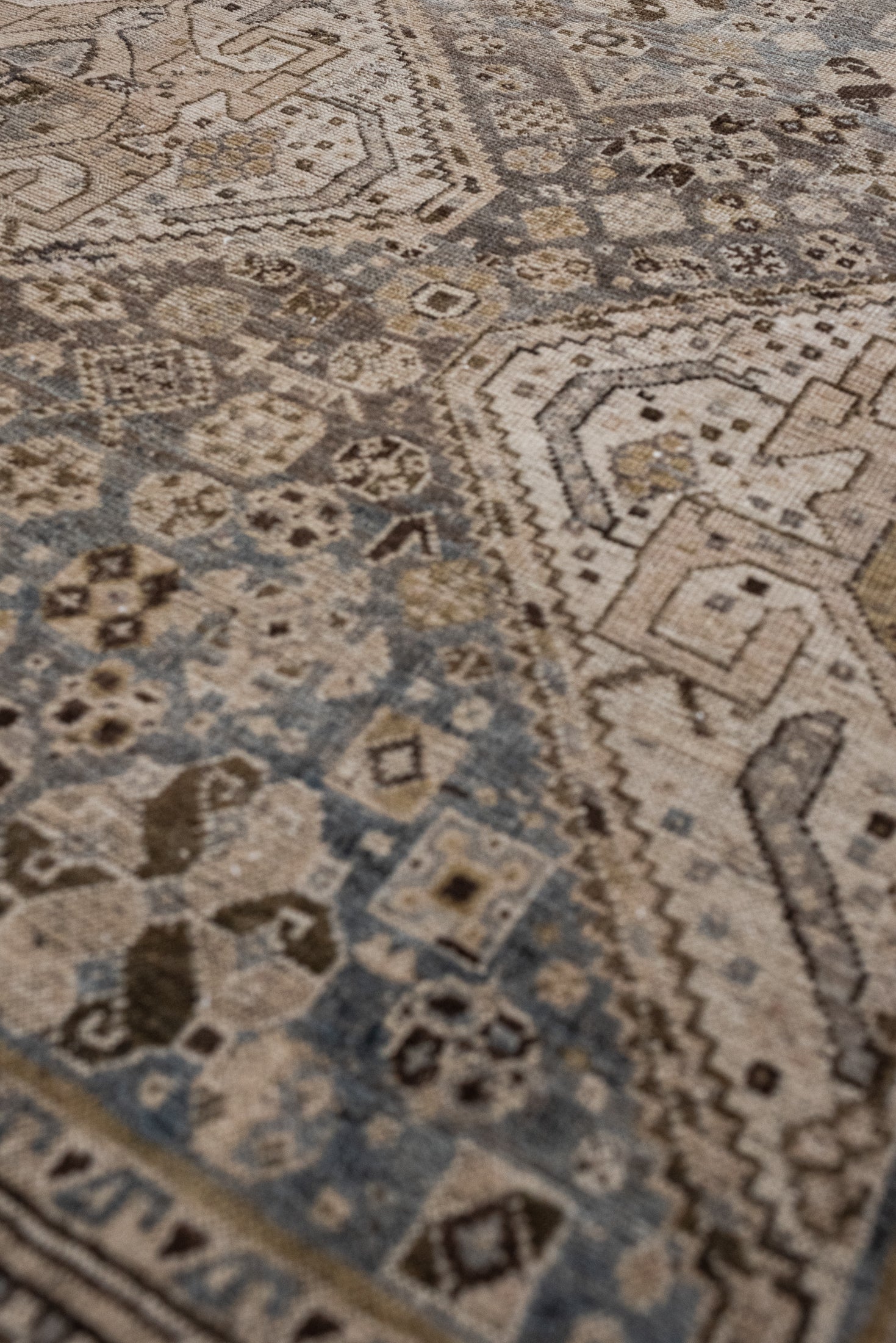 5'5 x 8'4 | CE-B-3356