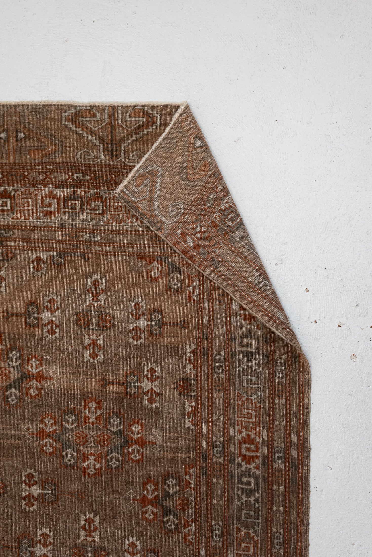 5'5 x 7'8 | CE-B-3360