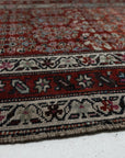 3'1 x 10'2 | Persian Runner | CE-R-2453