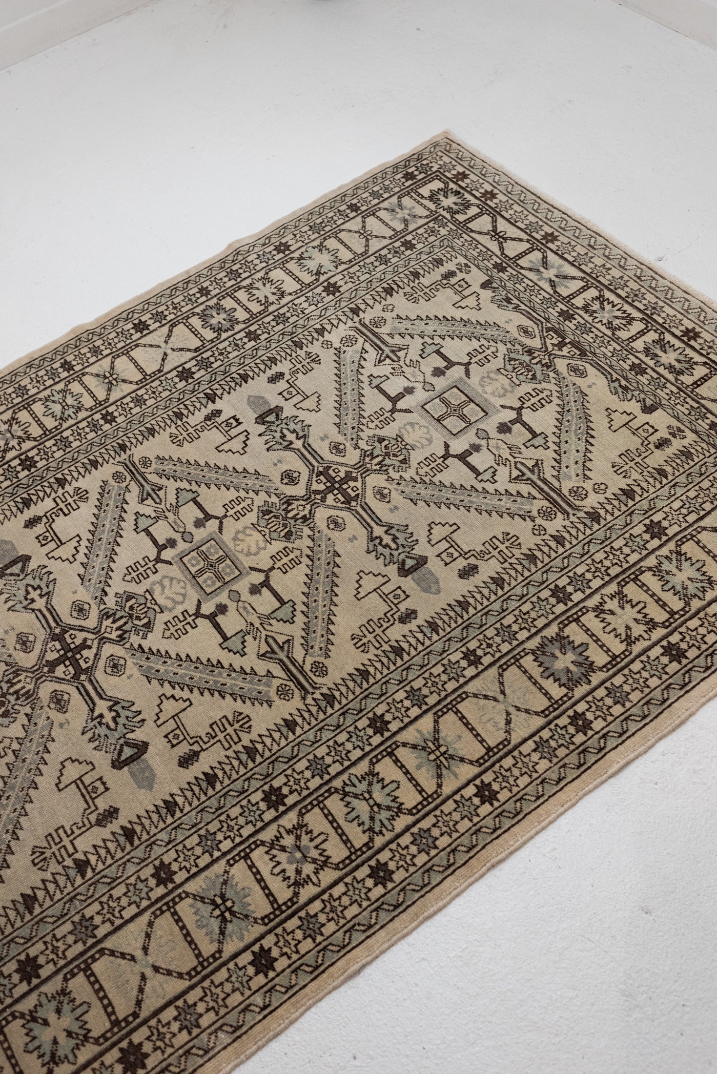 4'5 x 6'1 | CE-N-3249 – Curio Rugs