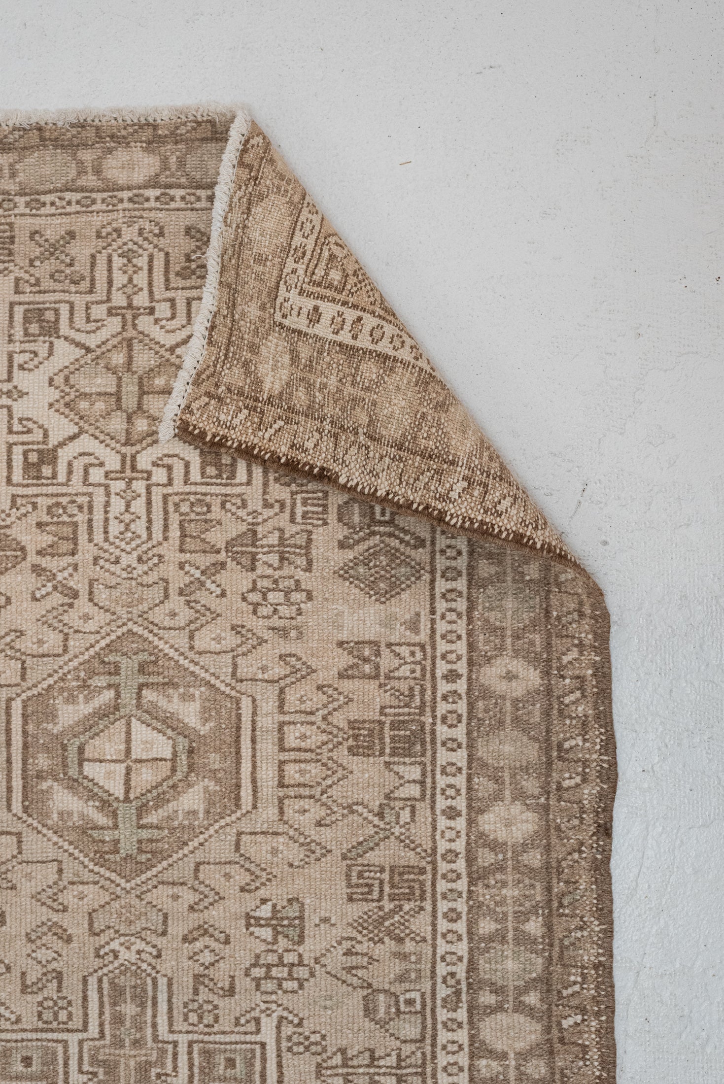 2&#39;5 x 7&#39;9 | Classic Vintage Neutral Runner | CE-R-3336