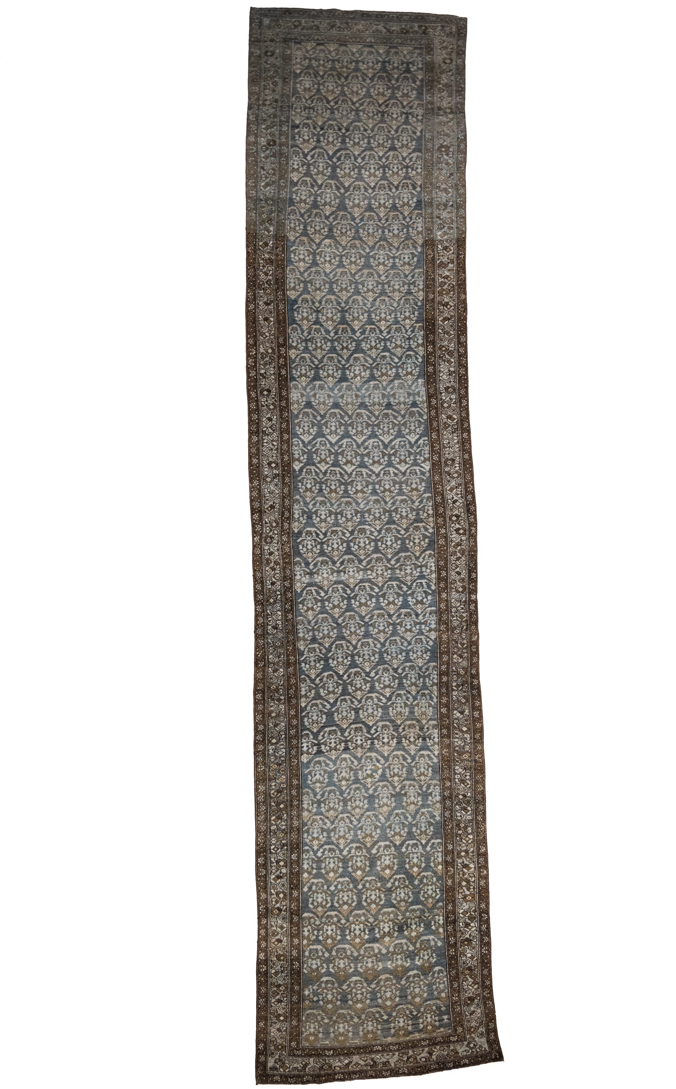 3'5 x 16'5 | CS-R-4731