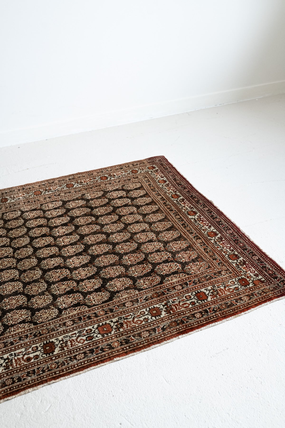 44.5×101 \"Play with ” ViNTAGE RUG Amazon.com: PeeNoke 50s Mid Century Modern Vintage Retro